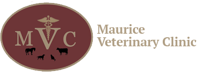 Maurice Veterinary Clinic in Logo