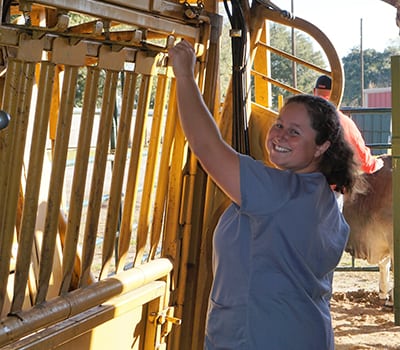 a veterinarian checking the farm cages