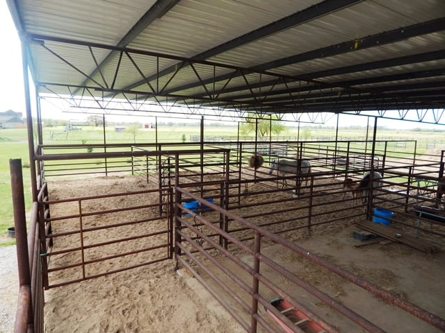 Horse stable
